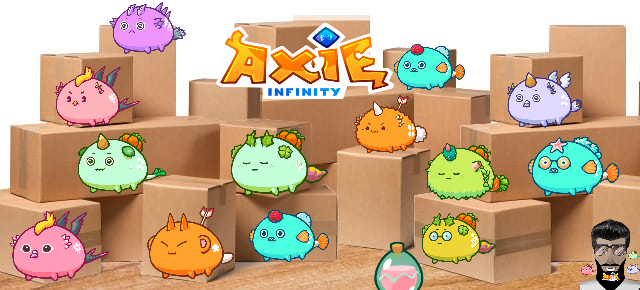 AndresAxie's tweet photo. 👑Andres Axie Corporation👑
Starting tomorrow we will begin handing out new scholarships!

📢new selection method📢

-retweet this post and add two friends,
-like it
-follow the page,
-comment writing why I have to choose you.

🎓I will make selection from your comments🎓 https://t.co/zsYZoJOBVJ