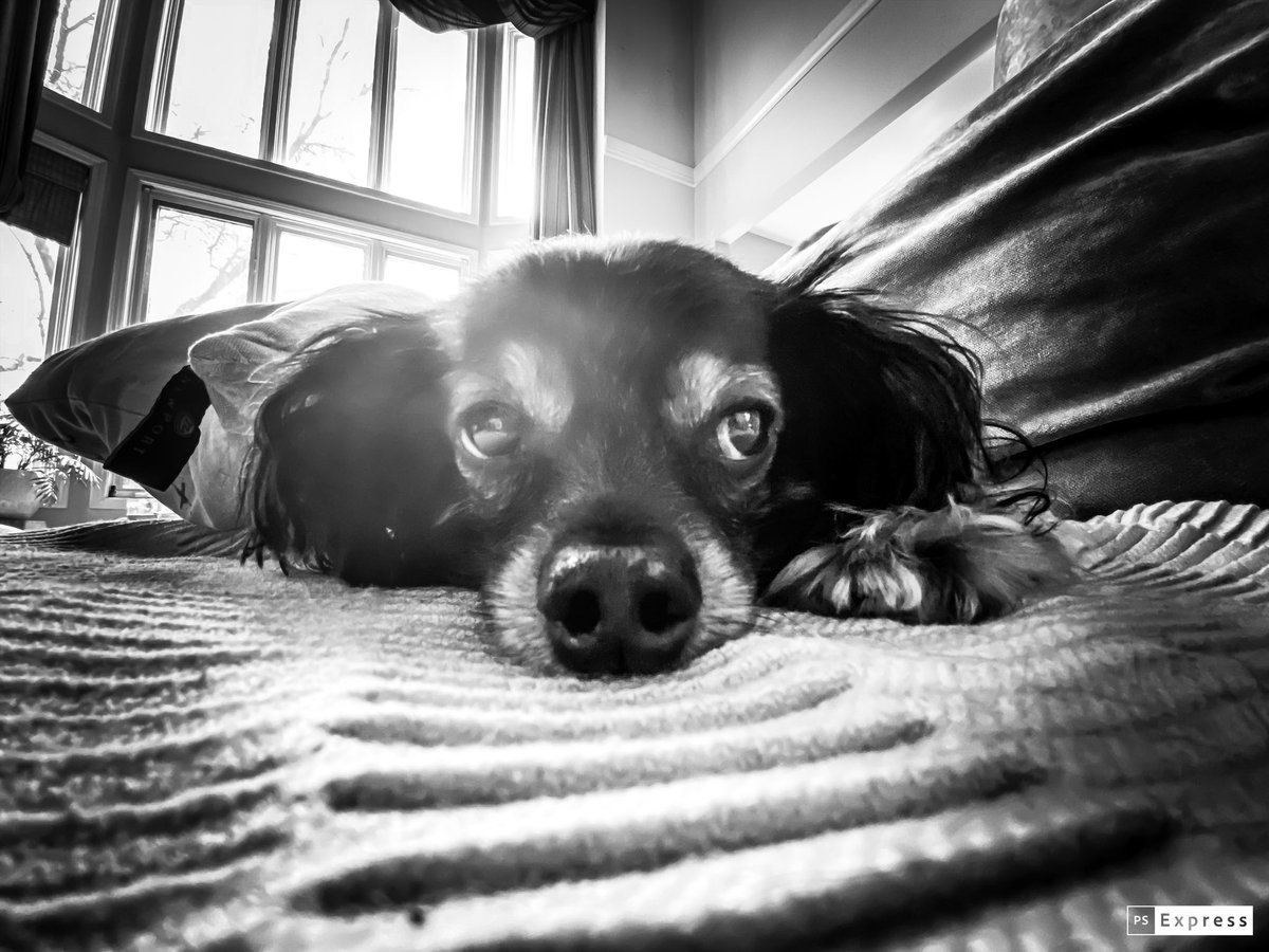 Scott Legato tweet media