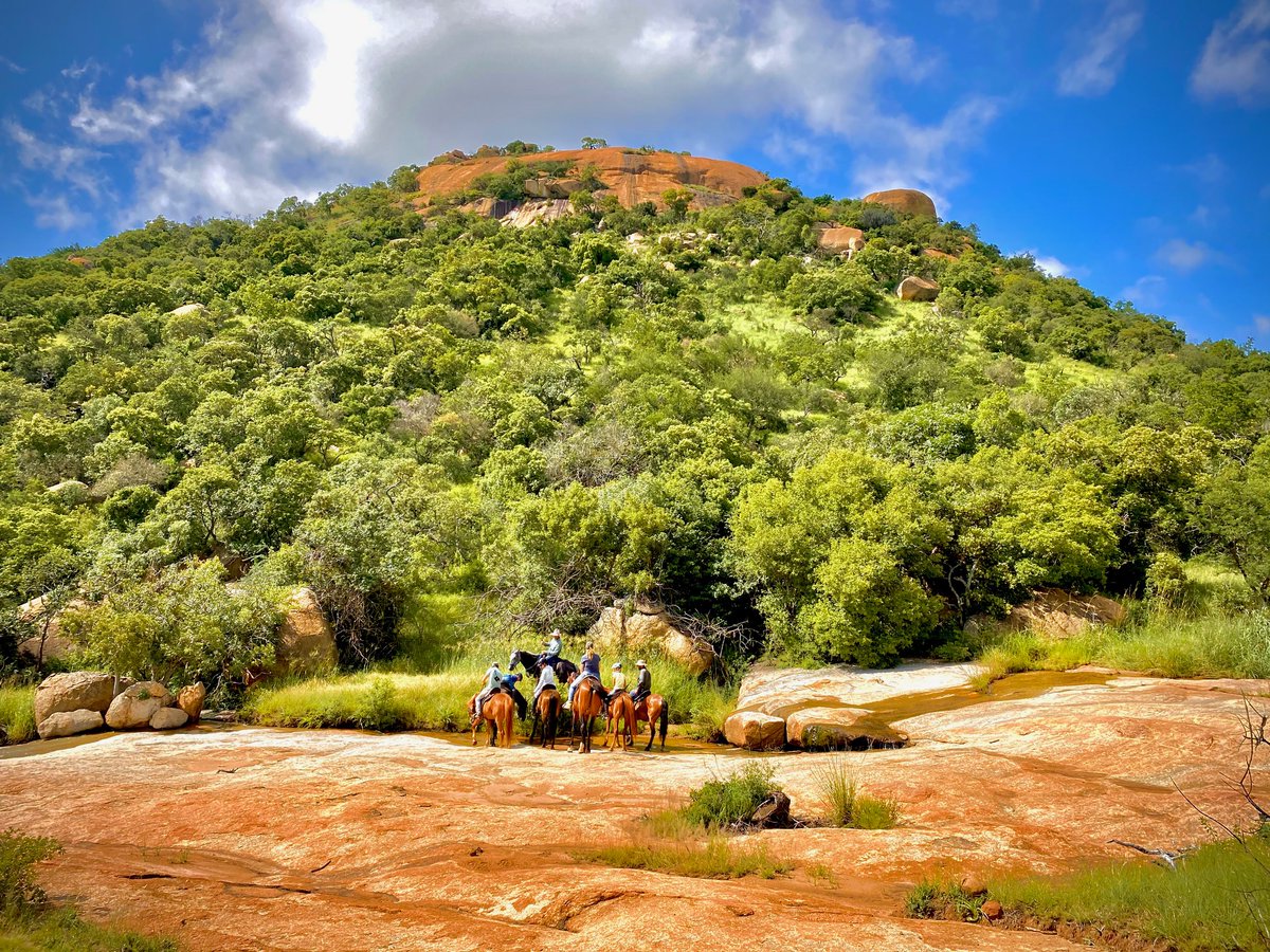We now offer our guests the chance to explore the reserve on horseback. 

Spend some time out in the fresh air, spotting animals and having some fun. All experience levels are welcome!

Send an email to reservations@babanango.co.za to find out more and make your booking.