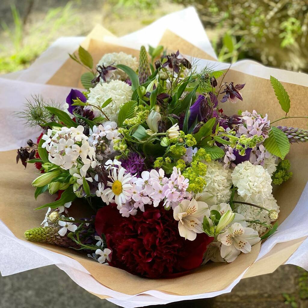 myflowerpatch's tweet image. Not just Friday Flowers now! 

A very lovely extra large bouquet ordered from Russia and delivered locally this morning. Mostly grown at My Flower Patch, with a few special additions from @flowersbyclowance  all British grown of course.

It was fabulous … instagr.am/p/CPyYKIqFb2i/