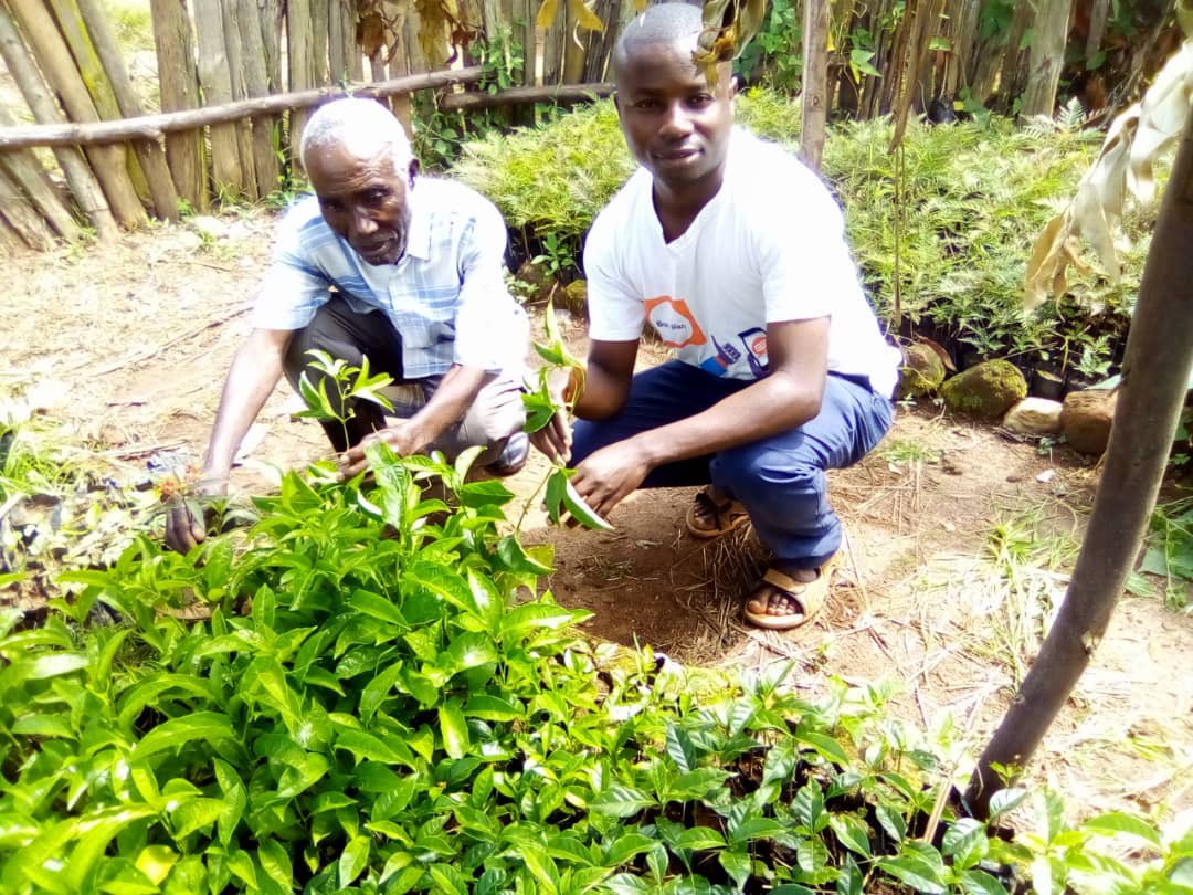 Nanahtakaza's tweet image. #80milliontrees  #challenge2020 we started planting trees also in #Kayna-#Kirumba in the #Lubero/ #NordKivu #DRCongo @Iyamuclimatech1 @ClimateCoaliti1 @emmamanii @Youth4ClimateNL @ThatClimateGirl @AfrClimAlliance  @ForFutureZwolle @fff_Utrecht @FFF_Leeuwarden #ClimatePromise #RT