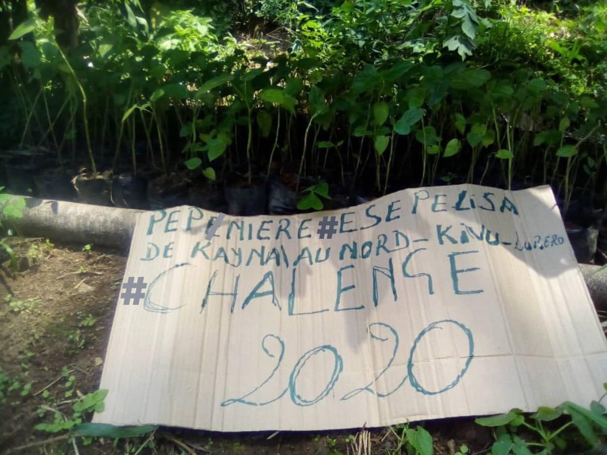 Nanahtakaza's tweet image. #80milliontrees  #challenge2020 we started planting trees also in #Kayna-#Kirumba in the #Lubero/ #NordKivu #DRCongo @Iyamuclimatech1 @ClimateCoaliti1 @emmamanii @Youth4ClimateNL @ThatClimateGirl @AfrClimAlliance  @ForFutureZwolle @fff_Utrecht @FFF_Leeuwarden #ClimatePromise #RT