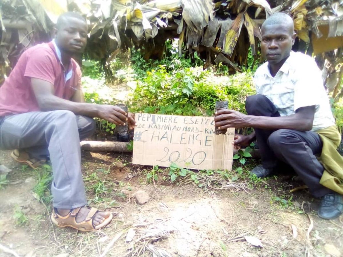 Nanahtakaza's tweet image. #80milliontrees  #challenge2020 we started planting trees also in #Kayna-#Kirumba in the #Lubero/ #NordKivu #DRCongo @Iyamuclimatech1 @ClimateCoaliti1 @emmamanii @Youth4ClimateNL @ThatClimateGirl @AfrClimAlliance  @ForFutureZwolle @fff_Utrecht @FFF_Leeuwarden #ClimatePromise #RT