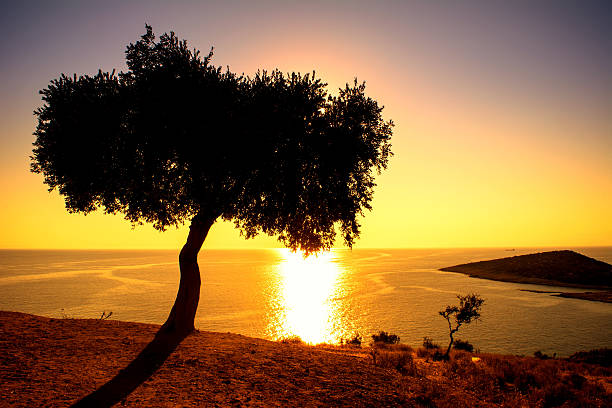 𝕴𝖘𝖆𝖇𝖊𝖑𝖑𝖊📜✒️ tweet media