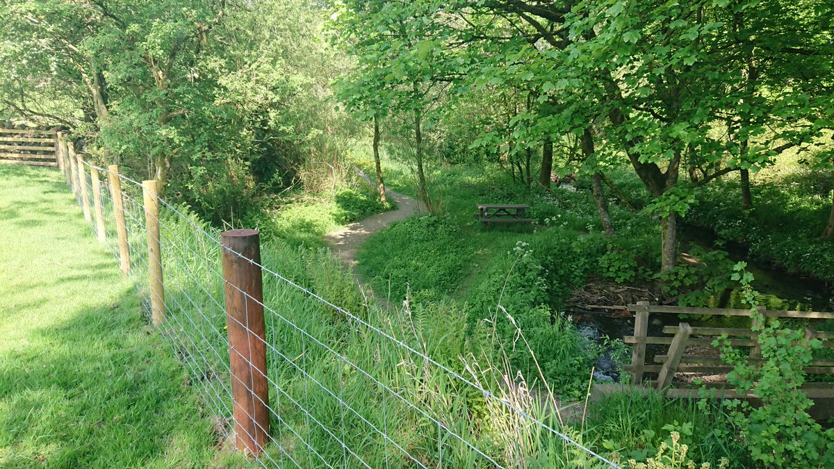 Wild About Lothersdale (@lothersdalewg) on Twitter photo New fencing to keep the sheep from #Lothersdale Beck and the #woodland in the park (thanks <a href="/ProfJGrey/">Jonathan Grey</a>!)
A welcome cool retreat over the past week for many #halfterm visitors.
@WoodlandTrust Community Group funded work still drawing folk to enjoy the pathway, benches & birdhide New fencing to keep the sheep from #Lothersdale Beck and the #woodland in the park (thanks <a href="/ProfJGrey/">Jonathan Grey</a>!)
A welcome cool retreat over the past week for many #halfterm visitors.
@WoodlandTrust Community Group funded work still drawing folk to enjoy the pathway, benches & birdhide