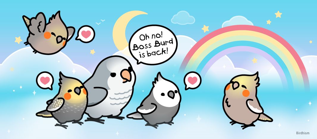 Memorial Commission 🌈🕯🦜
After greeting St. Cody, across the Rainbow Bridge, birds are welcomed by family members and flockmates. It's as though no time has passed. The next stop is usually the Golden Millet fields. 🌾