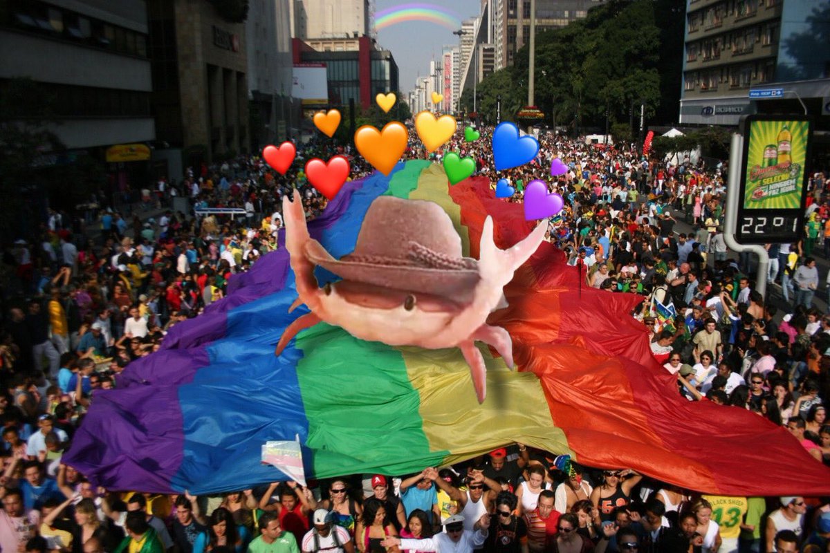 _ohcrab's tweet photo. Para comemorar o dia da Parada LGBT de São Paulo vou apresentar para vocês um casal de guejos com comportamento homossexual 🏳️🌈
#BioThreadBr #CrustaThread https://t.co/ilVvOboum7