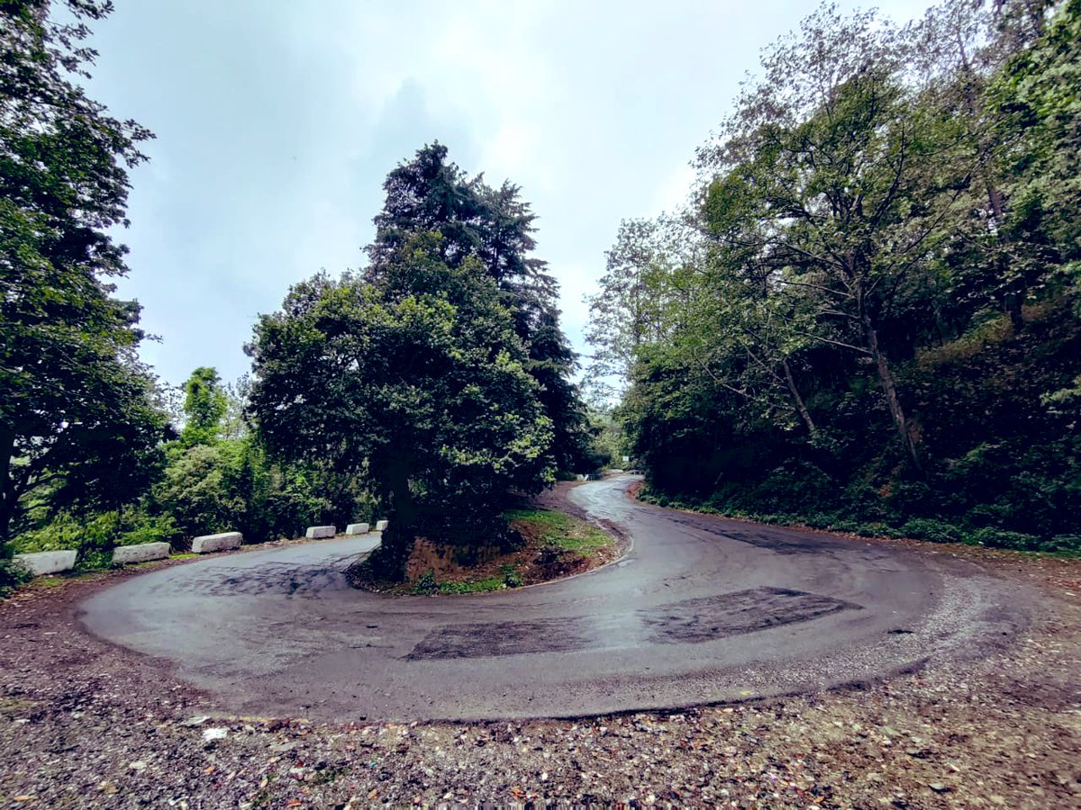 doctorpeach_'s tweet image. Curves are so much better