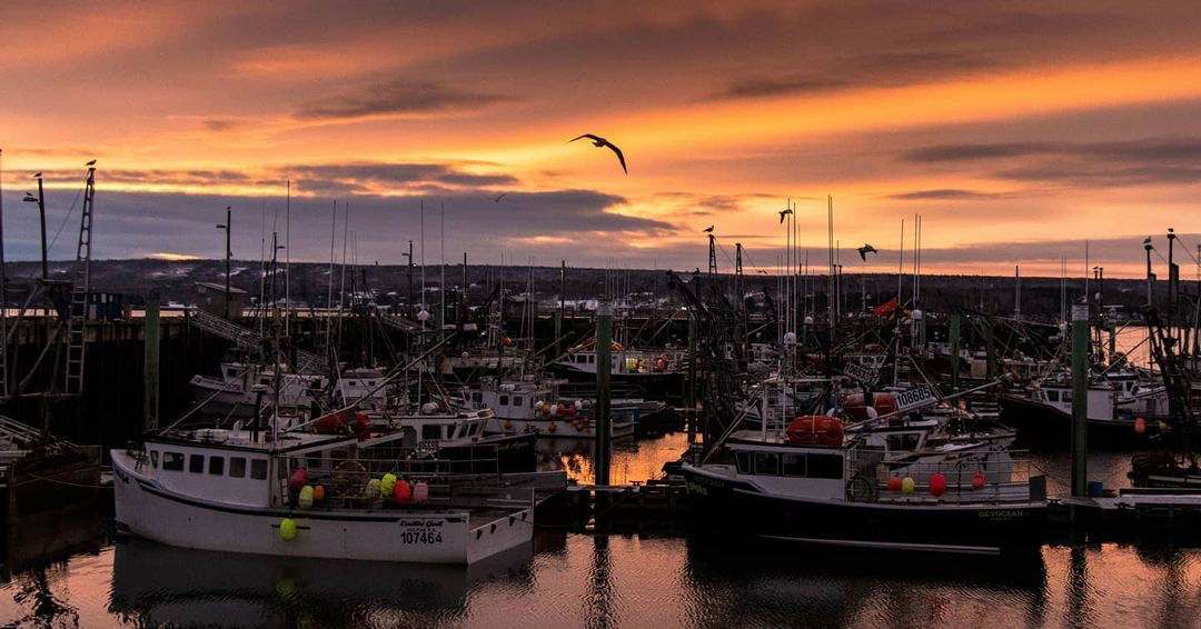 Stanfields1856's tweet photo. It's simply just a way of life in Digby, Nova Scotia and what a life it is!๐๐๐
๐ท Ben Cleveland
#Stanfields #Since1856 #ProudlyCanadian #MyHometown #HometownsofCanada #Digby #DigbyNS #DigbyNovaScotia https://t.co/OZKux6NaRh
