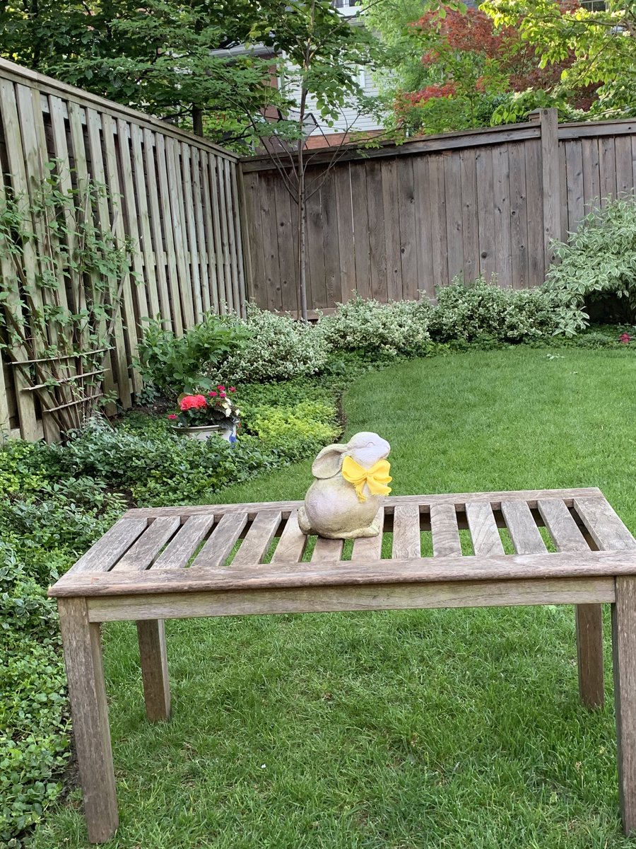 A new addition to our garden