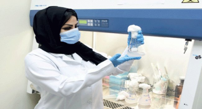 صحيفة البلاد صوره اليوم طالبة الماجستير نوف العيسى من كلية العلوم تخصص أحياء دقيقة ب جامعة المؤسس أثناء تحضيرها رسالة الماجستير الخاصة بها صحيفة البلاد