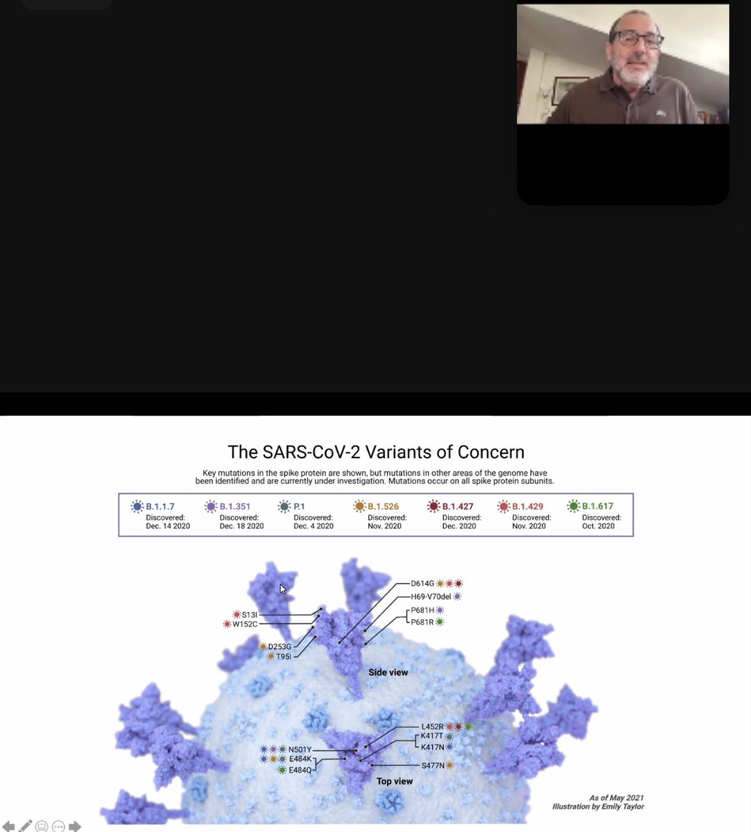 MariadelMarTom's tweet image. Interesante charla de @derafaeldelgado sobre #VariantsOfConcern #covid19 👍@SEIMC_