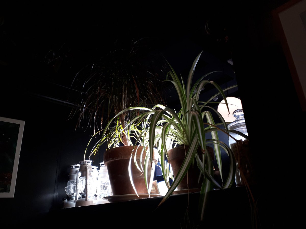 Evening light <a href="/CrownHastings/">The Crown Hastings</a>