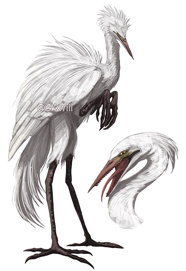 「White heron. Under the wings, its body b」|Sidのイラスト