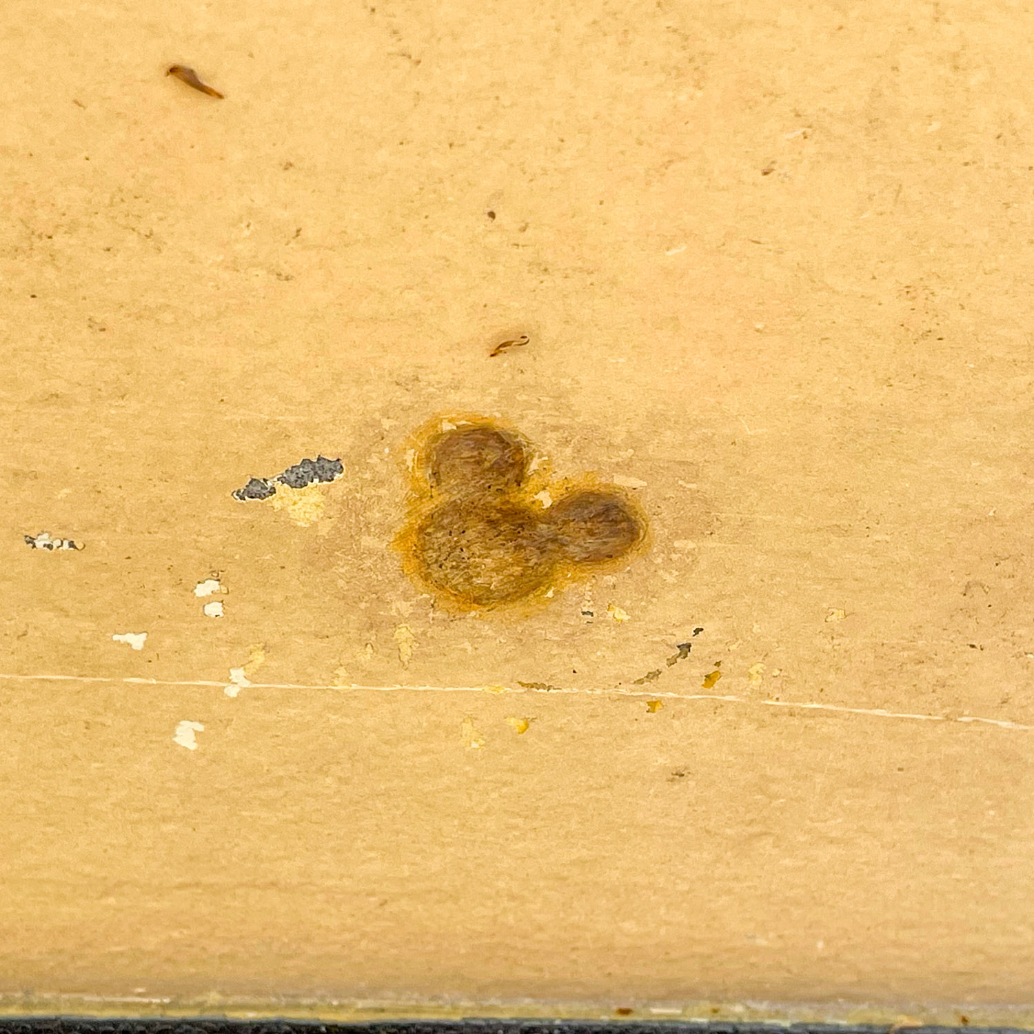 Mizuki M モンスターズインク横にある隠れミッキー 前に舞浜の師匠から教えてもらって撮ってたら キャストさんに こちらにもあるの ご存知ですか って言われて 別の隠れミッキーも教えていただけた ちょっと恥ずかしかったけど T Co