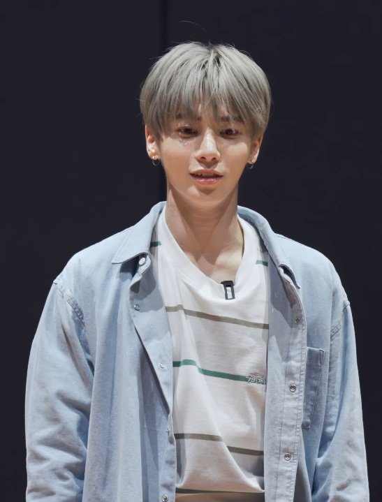 stussy flower embroidered denim shirt