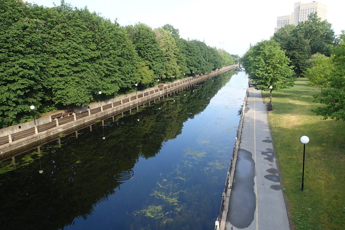 MortenLidegaard's tweet image. Fantastic weather for a nice and easy pre-breakfast 15k run in cruise-mode 😀 Avg. pace: 5:41min/km, HR: 137
Felt really good... Have a great Sunday 🌞😊 
#IStartHere @OttawaMarathon @runottawa 
#TeamNuun @nuunhydration 
#mmrun 96/100 @MegaMeterRun 
#MyOttawa and beyond...