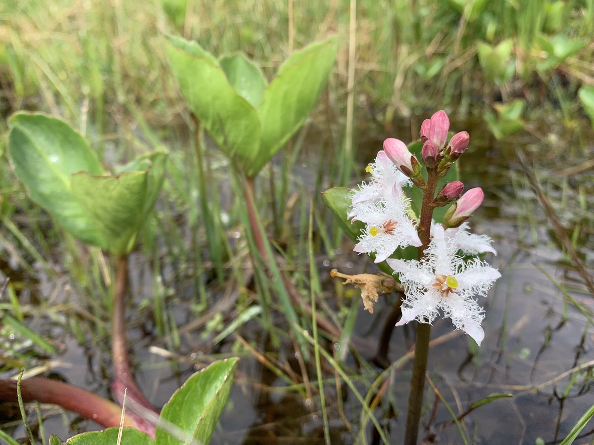 Devon Wildlife Tours tweet media