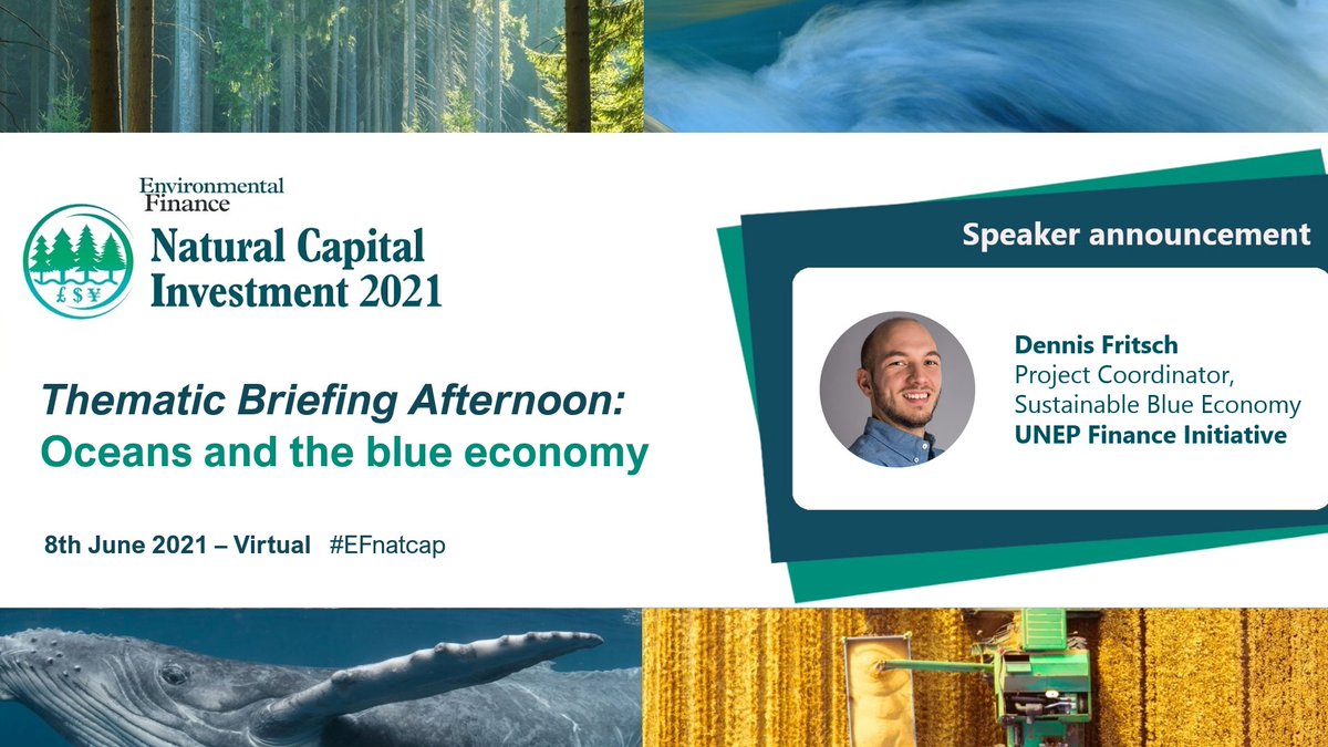 UNEP FI Sustainable Blue Economy Project Coordinator, Dennis Fritsch, will be speaking at the #Ocean and #BlueEconomy briefing afternoon organised by @Enviro_Finance on #UNWorldOceansDay. Register to learn more: bit.ly/3ujZuPE #EFnatcap