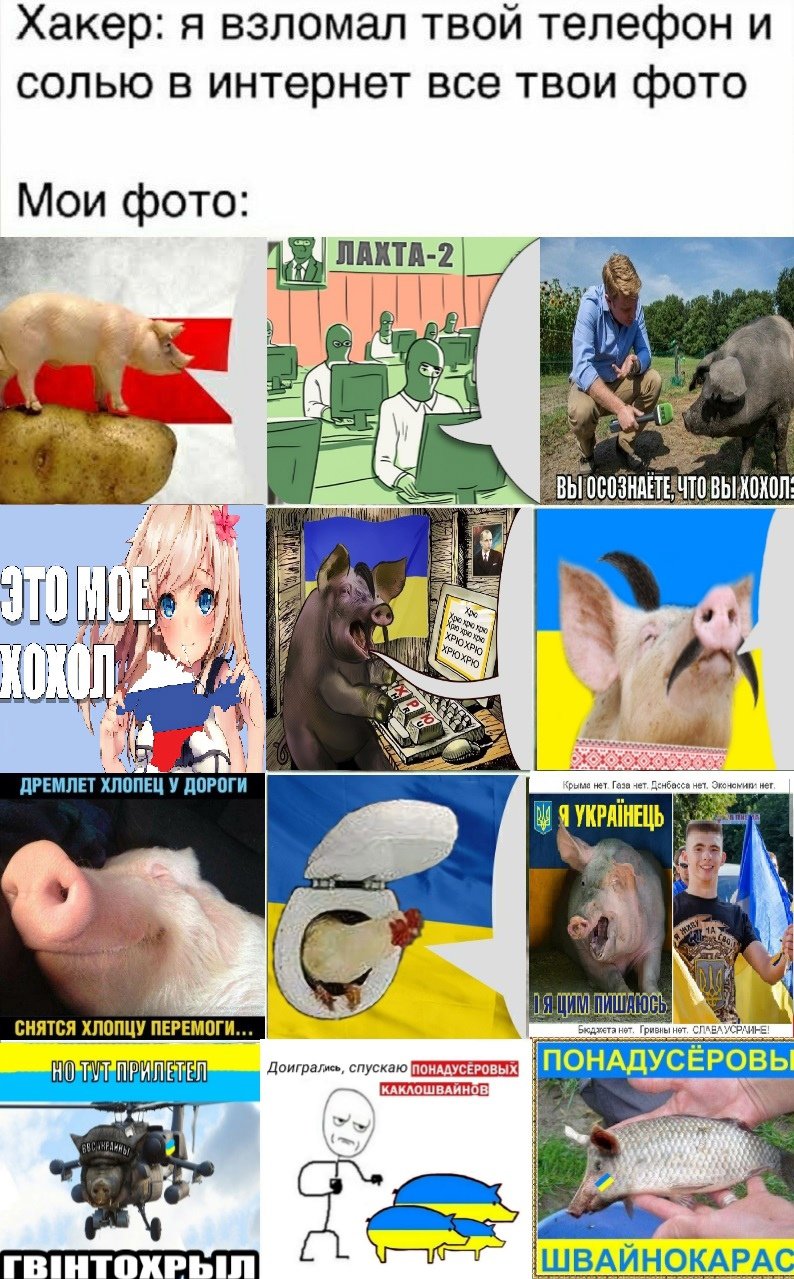 E3NFCdHXIAAp4zw?format=jpg&name=large