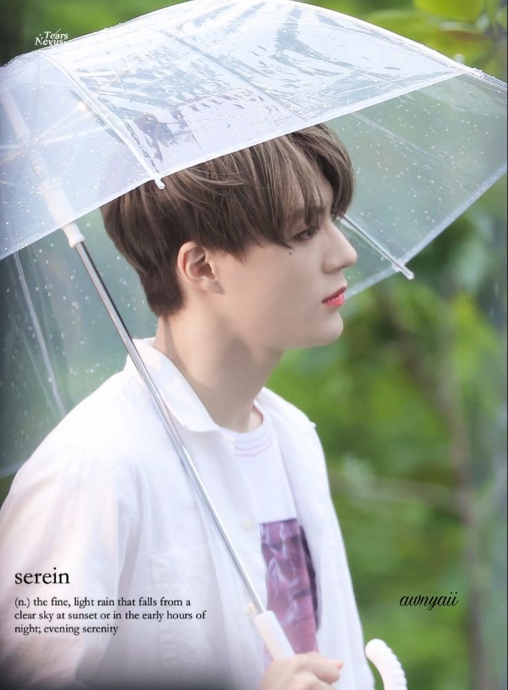awcarolll's tweet photo. S E R E I N 

(n.) the fine, light rain that falls from a clear sky at sunset or in the early hours of night; evening serenity. 
. 
. 
. 
. 
Lee Jeno's au✨ https://t.co/0BrX3yZ5sG