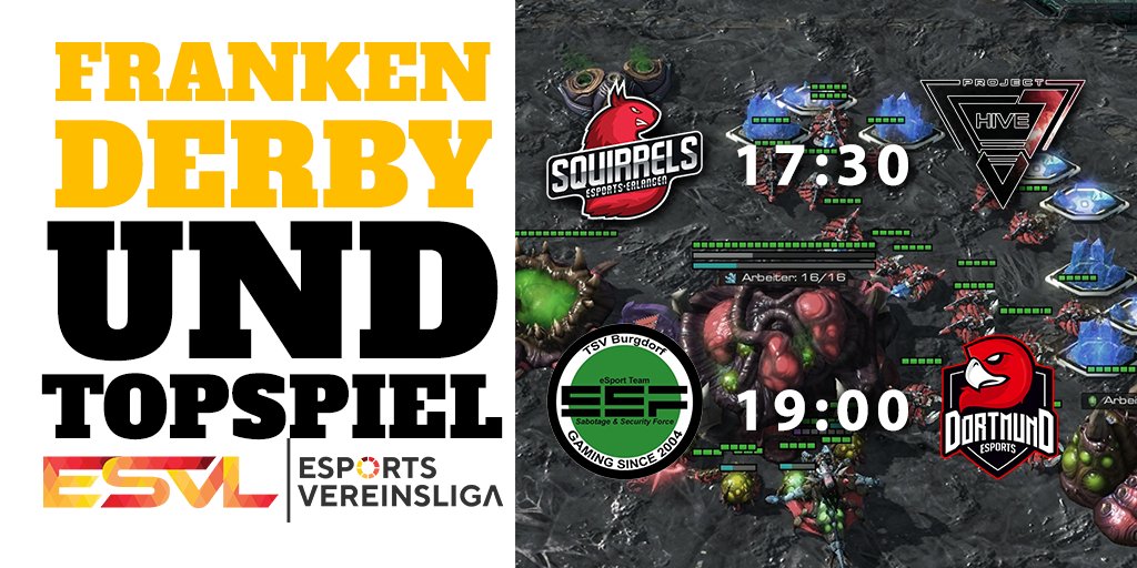 ESPORTS VEREINSLIGA tweet media