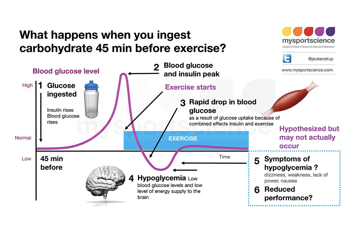 Jeukendrup's tweet image. What to eat before competition? What is the risk of low blood sugar? and is it a problem? Read the blog on: bit.ly/2QAMLGY