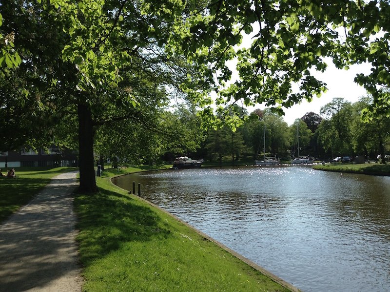 pietje horjus tweet media