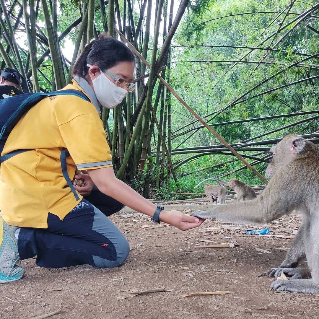 disparbudpml's tweet photo. Monkey Forest, Cycling Kebun Nanas kemudian menjadi lokasi yang diexplore oleh para peserta. Sebelumnya, para peserta yang terdiri dari para wisatawan dari berbagai daerah di Indonesia mengunjungi, mengexplore Via Ferrata Taman Rancah Mendelem, https://t.co/K6lHIDuhAp