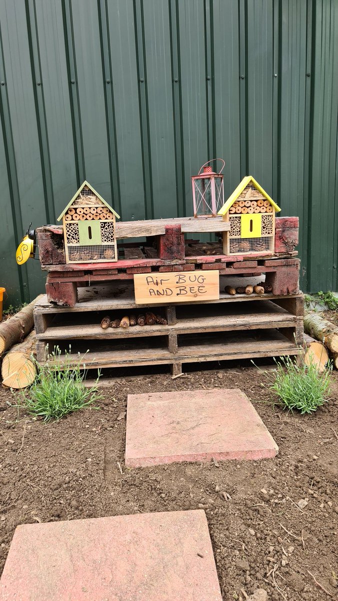 Making my first ever bug house and we have called it "Air Bug and Bee" #Hampshire #Springwatch