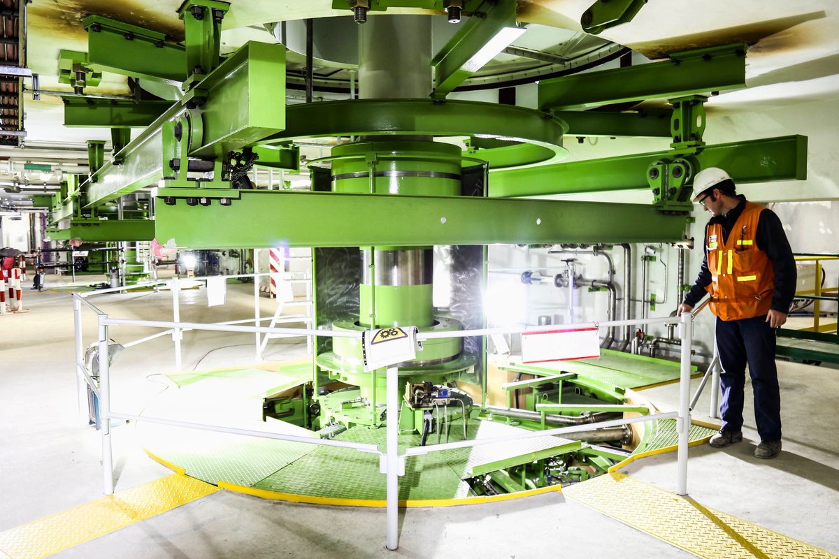 Panedile tweet media