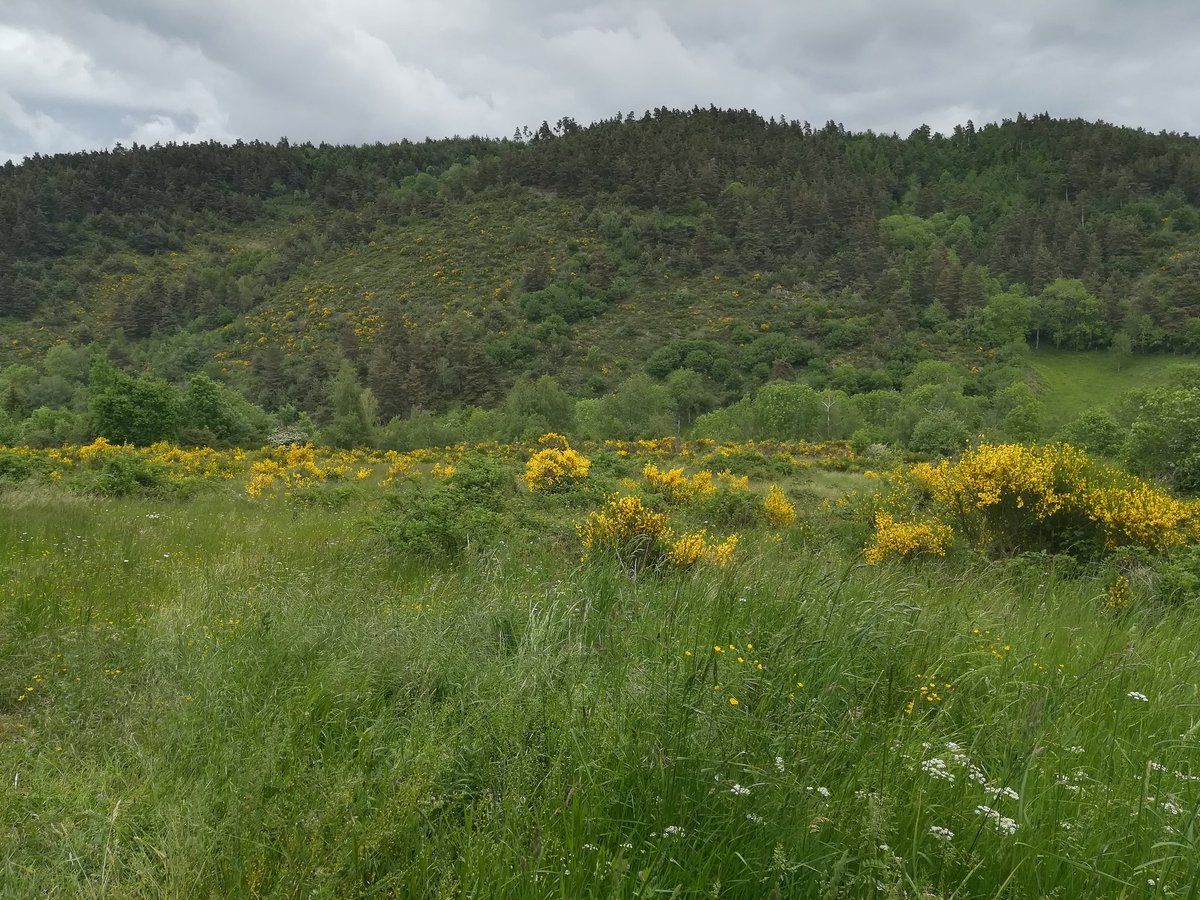 R_Hugon_43's tweet photo. Bonne fin de weekend !

#fenêtreouverte sur #Pinols #Margeride
Village Natal ♥️

#HauteLoire #Auvergne #AuvergneRhoneAlpes https://t.co/h8pj1Ct0eU