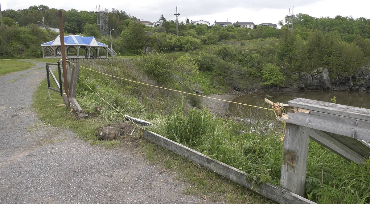 Nick Moore tweet media