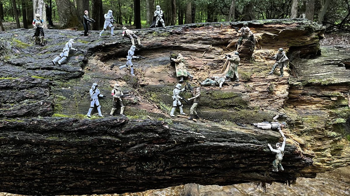 TheImperialcomm's tweet photo. #StarWars #Hasbro #Kenner @Hasbro #Stormtrooper #88theternalbattalion #BackTVC #Toyphotography #ACTIONFIGURES #Rebels #Rebelscum #diorama #Scarif #RogueOne #LocustLake @PaStateParks #camping #outdoor #battle #FYP #TheMandalorian #BadBatch
#Round 1 #pix for the “log” set up… https://t.co/vu7j7mOHBz