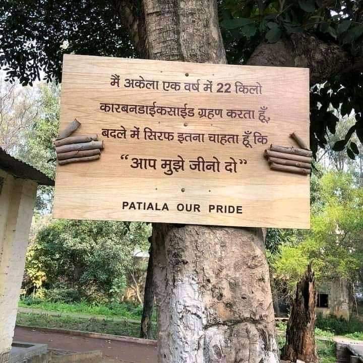 #बकस्वाहा_जंगल_बचाओ_अभियान
#बकस्वाहा_जंगल_बचाओ_अभियान 
<a href="/PMOIndia/">PMO India</a> <a href="/CMMadhyaPradesh/">Chief Minister, MP</a> <a href="/narendramodi/">Narendra Modi</a> <a href="/ChouhanShivraj/">Shivraj Singh Chouhan</a> <a href="/aajtak/">AajTak</a> <a href="/ABPNews/">ABP News</a> <a href="/BBCHindi/">BBC News Hindi</a> <a href="/BansalNewsMPCG/">Bansal News</a>