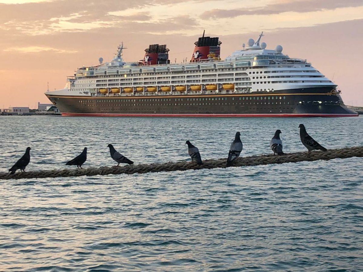 PuertosYucatan's tweet image. Hoy zarpa de @PuertosYucatan el crucero #DisneyWonder tras completar de manera exitosa los trabajos de remodelación.

#APIPRO
🛳⚓🇲🇽🌏