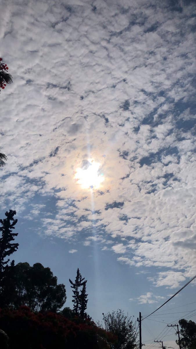 marbet247785061's tweet photo. ☀️🥰
Que bonito es lo bonito !
#Queretaro
#CieloBello 9:44 https://t.co/wLqCaLOVOZ
