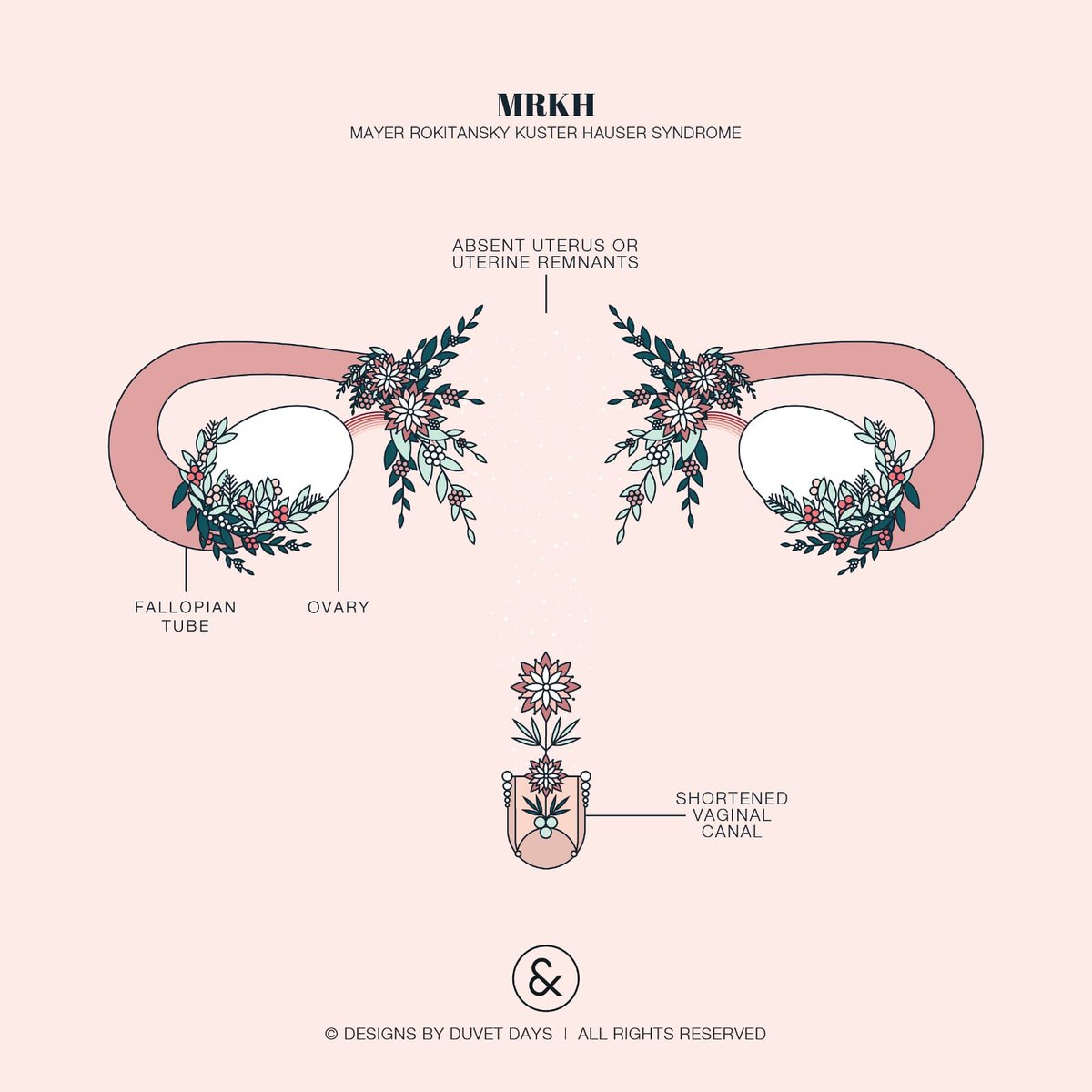 MRKHConnect's tweet photo. We have been so proud to work with Designs by Duvet Days who makes beautiful anatomical illustrations (among others) using flowers, fruit, stars and the moon and we worked with Jenna to make a #mrkh piece in collab with @GuerriereRoki, here it is! We ❤ it
https://t.co/3z2GhSXWW8 https://t.co/ahJXCMAaGC
