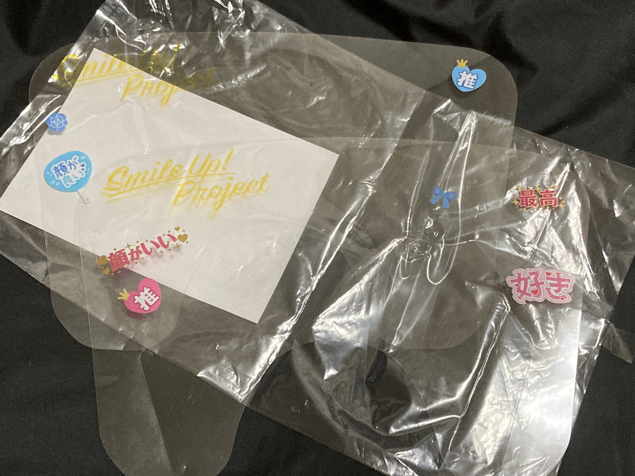 エボキサリのリーフレット