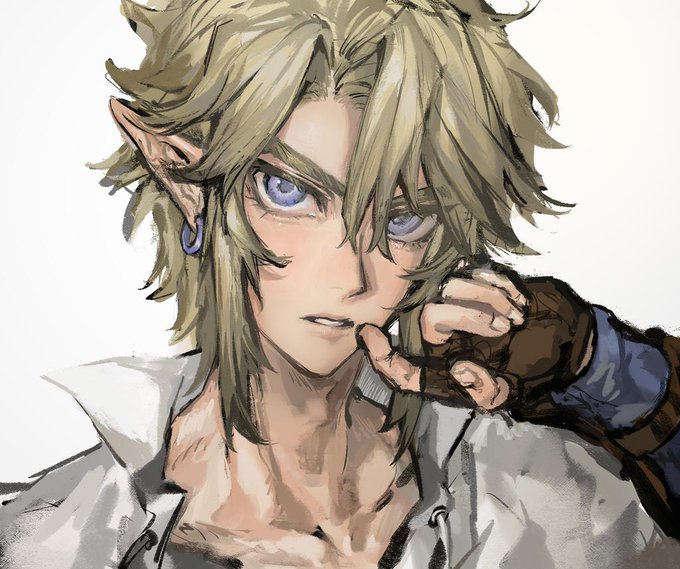 リンク(ゼルダの伝説) ,ミドナ 「トワイライトプリンセス リンク(ゼルダの伝説) ,ミドナ 「トワイライトプリンセス