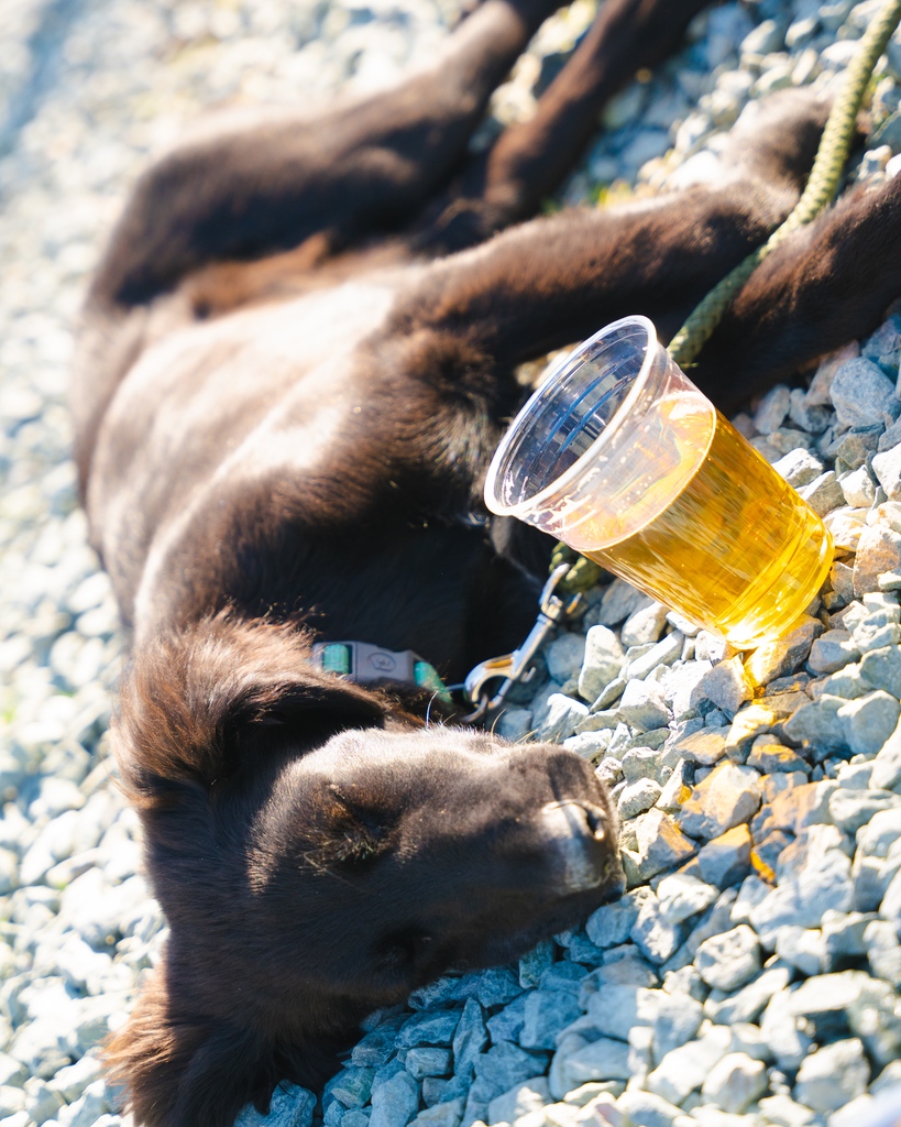 Pro Re Nata tweet media