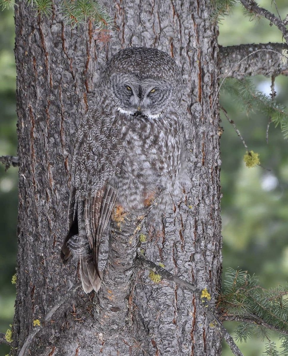 my son watching me break out the hidden candy jar when I think he’s in another room