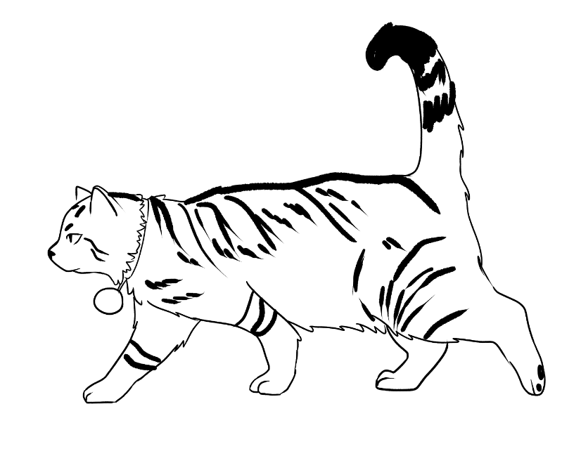 miau 