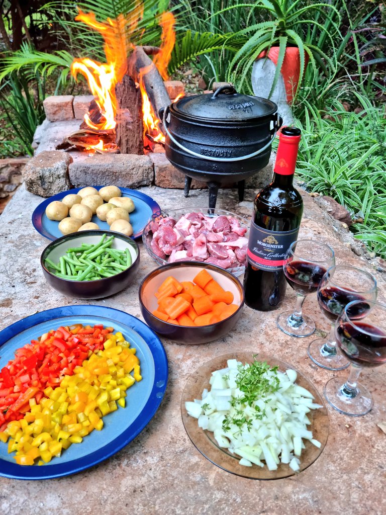 RT @ChristoThurston: After a fine drizzle, a fire is lit for a potjie. My weekend in Limpopo is beautiful https://t.co/z8x5jxl6o3
