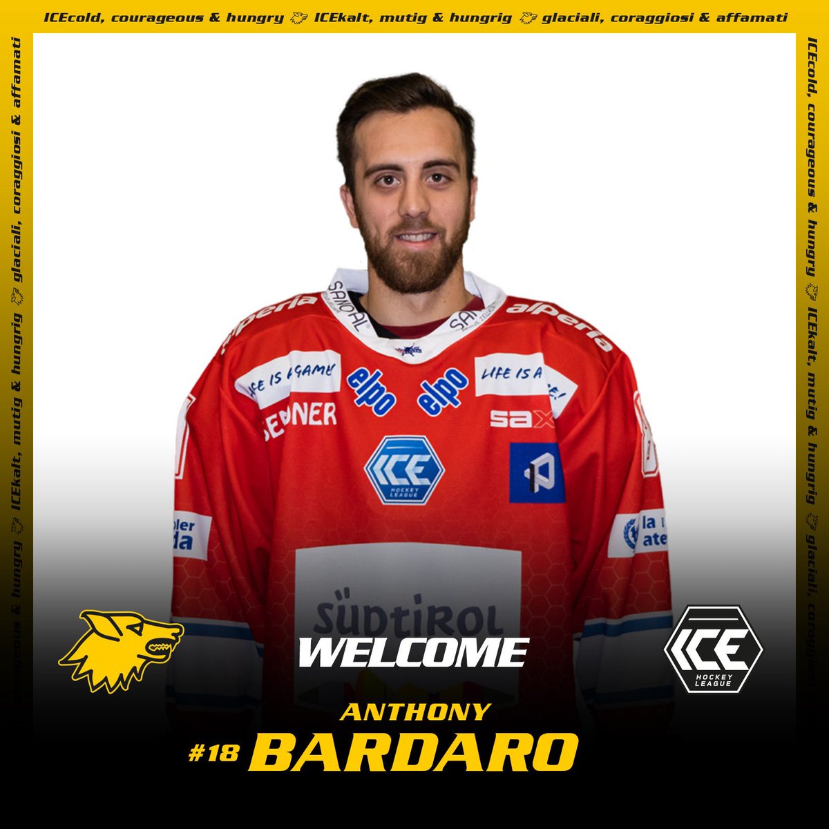 Good News am Sonntag.
Welcome, <a href="/Bards21/">Anthony Bardaro</a>!
...153 Points in Alps Hockey League... 77 Points for @HCB_Foxes in Bet-at-home ICE Hockey League... 🥅🏒
🇮🇹 Nationalteam Power for the 🐺 Wolves 🐺
DE: 
hcpustertal.com/de/bardaro-06-…
IT:
hcpustertal.com/it/bardaro-06-…