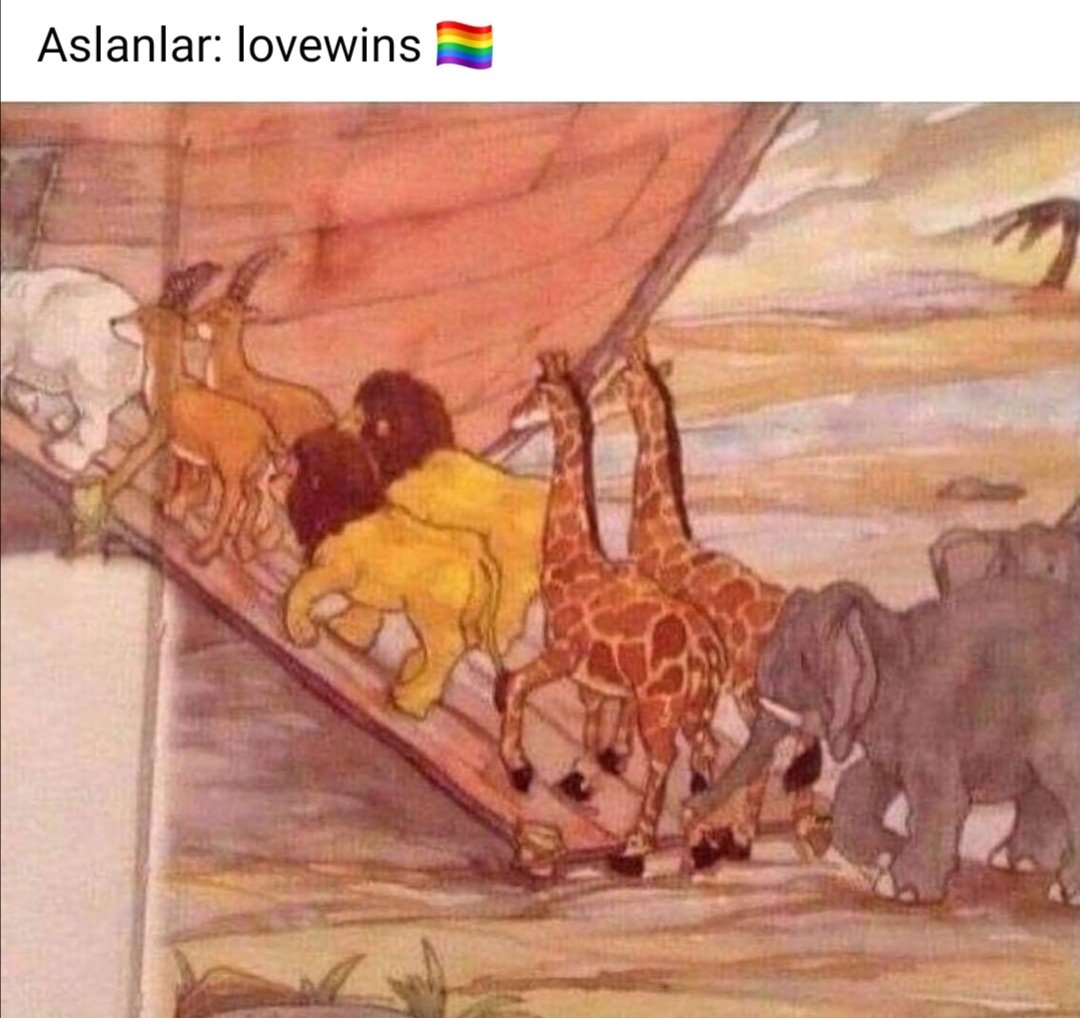 Ali (@mazomedet) on Twitter photo 