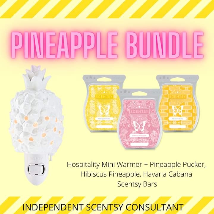 Southern Hospitality Mini Warmer
#scentsy #miniwarmer #scentedwax