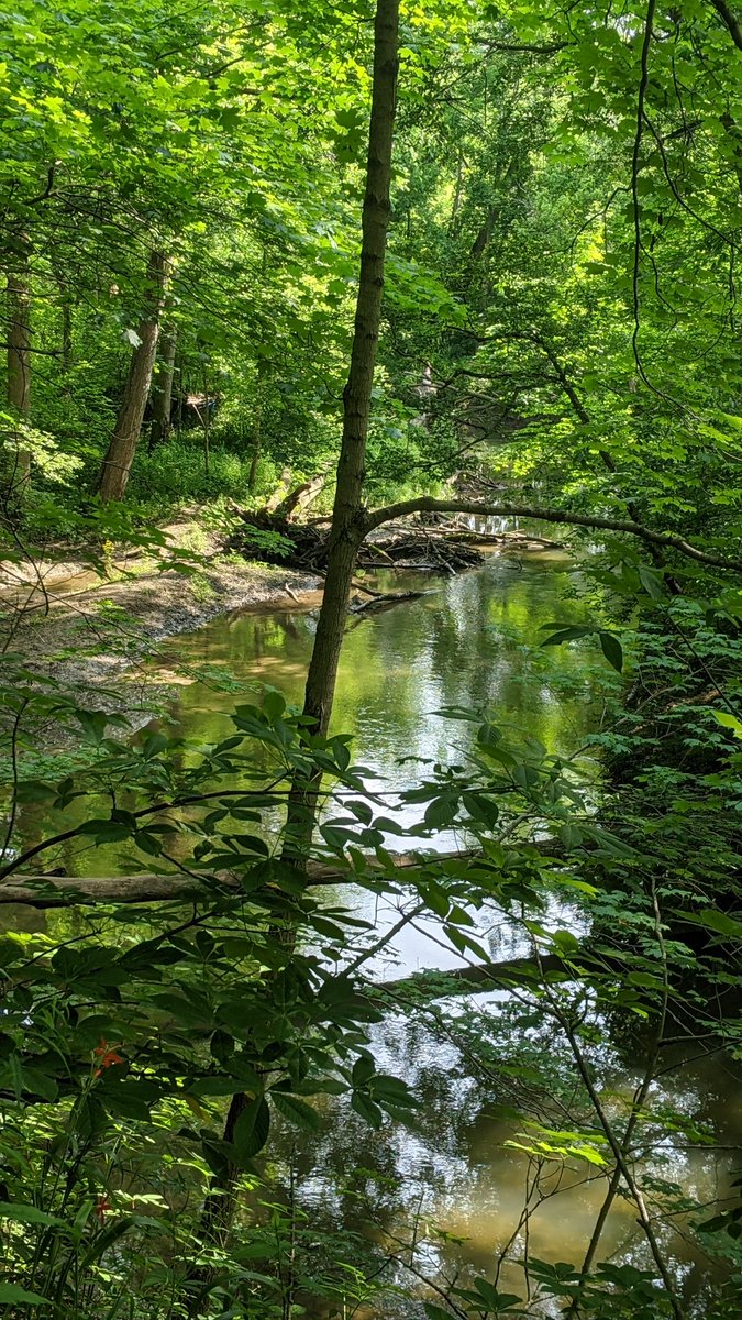 RegularbitchesP's tweet image. Sunday Funday! 
#regularbitches 
#hikeandhammock 
#mocklifeisthebestlife