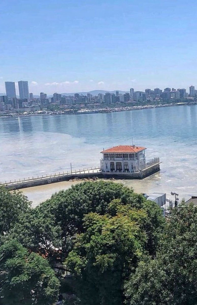 Tanıyanlarınız vardır. Moda çay bahçesinde kırk senelik garson Bekir Ağbi. Ona sormuştum eskiden burası nasıldı diye, millet denizden çıkar gelir, su şişeden değil çeşmeden içilir, en çok bira satardık demişti. Bir cümlede bütün  yıkımı özetlemişti. Beterini o an düşünememiştim.