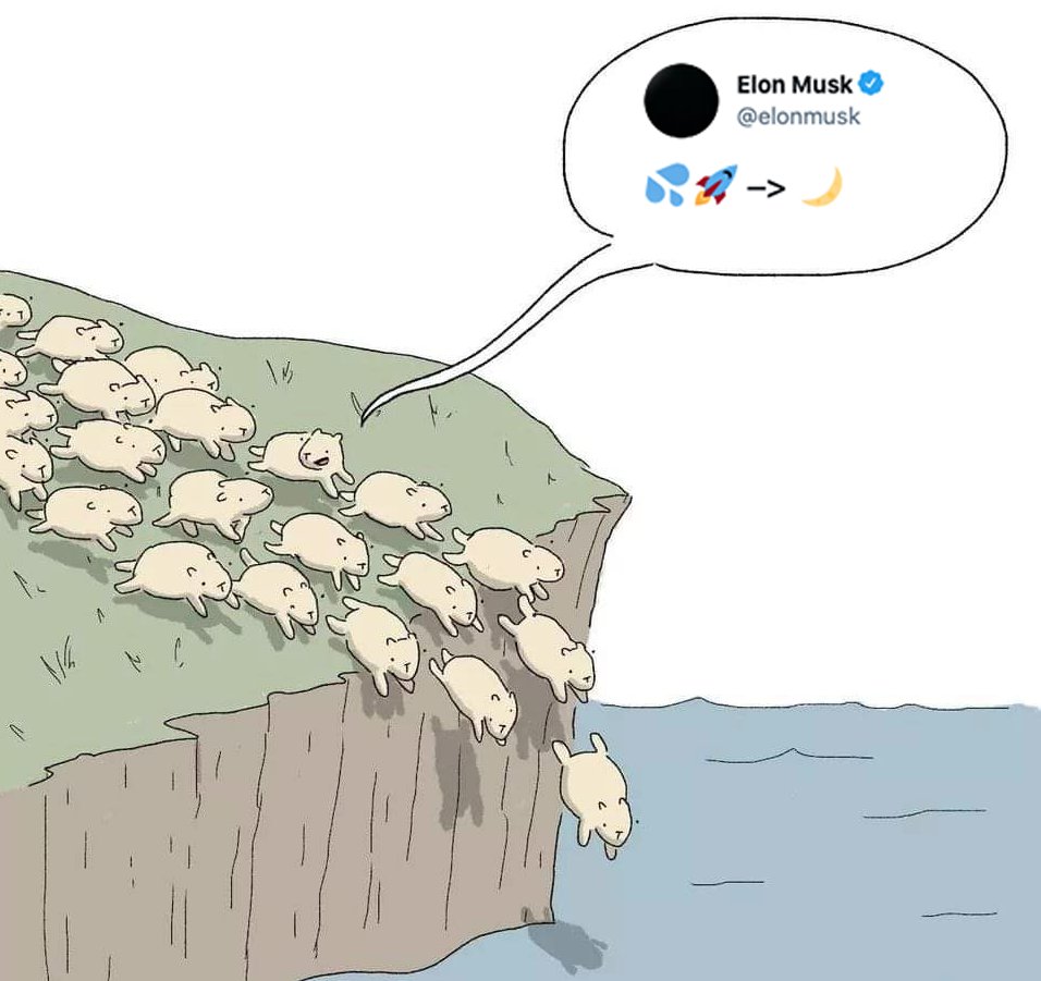Rotso86's tweet photo. Shortly about Elon Musk effect) #cryptocommunity #xrpcommmunity #BTCELON https://t.co/Z2w63xvapl
